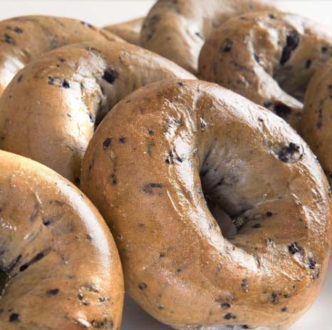 Blueberry Bagel