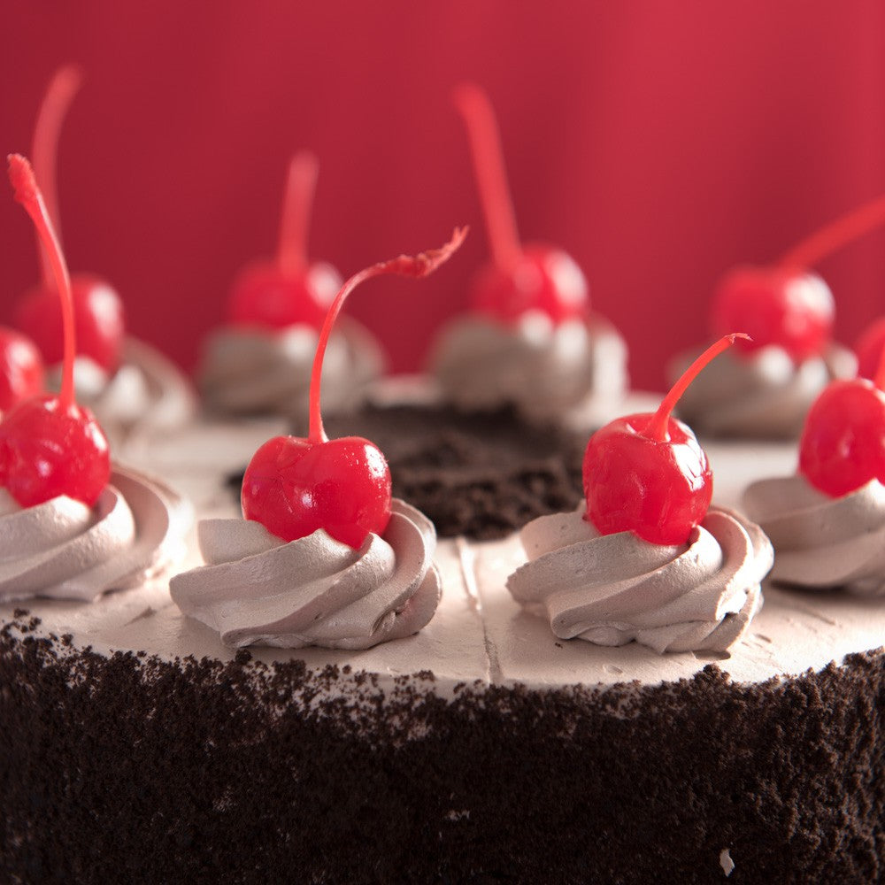 Chocolate Mousse Torte