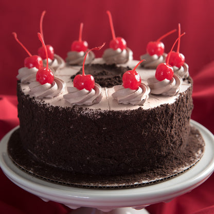 Chocolate Mousse Torte